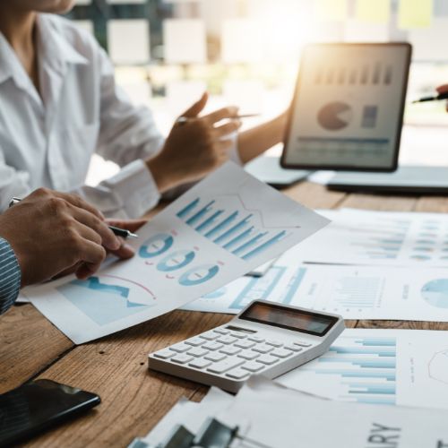 Client Tax Auditing